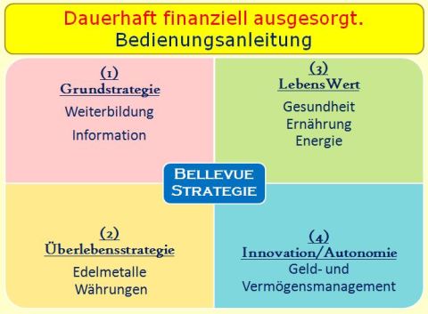 4-Module-Bellevue-Strategie