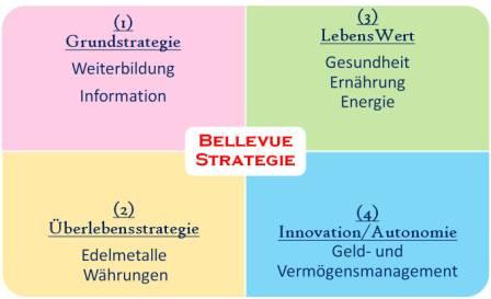 4-Module-Bellevue-Strategie