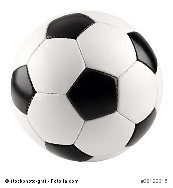 Fussball-c-stockphoto-graf-Fotolia_38122315_XS_copyright-173x188
