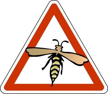 Wespe-Achtung-Fotolia_42347825_XS-c-Marem