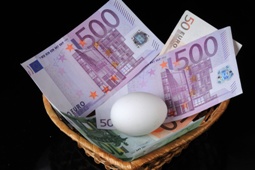 nest-ei-euroscheine-fotolia_12696758-255x170